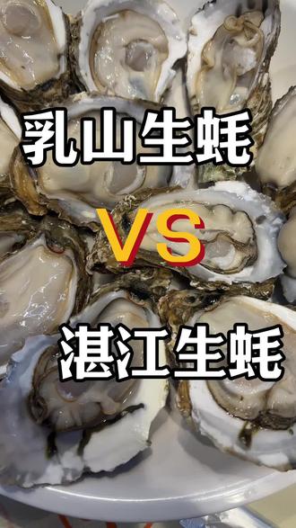 生蚝到底哪家强?#乳山生蚝&湛江生蚝