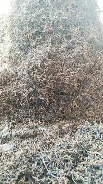 谁的生活都不容易都是为了柴米油盐