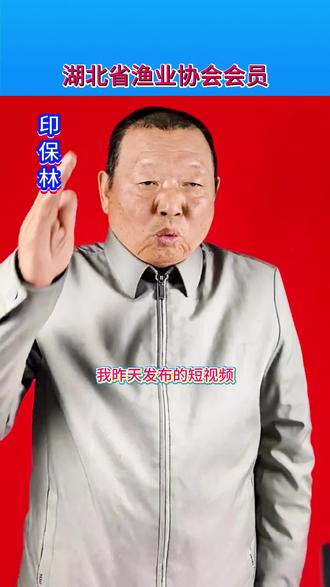 70岁老人亲授冬季捕甲鱼技巧,四大核心技巧助你轻松赚万元 #创作灵感 我昨天发布的短视频《野生甲鱼冬天藏哪里?今天我来给大家揭秘4个藏身地!》在网上公开后,反响很强烈,很多朋友来电话、来微信、在评论区留言,要求我把看“烟囱标志”捕捉甲鱼的技术详细说一下,他们也想和我一样,利用冬季捕捉甲鱼的大好时光,赚几万元。因为这涉及到全部是干货,涉及到怎么样具体捕捉甲鱼的细节,视频比较长,大家要耐心看完才能学会,尤其是最后一条,更重要,一定要重点掌握。记不住的朋友,可以点击关注、小红心和收藏。以免再找不到这个视频。
第一、要选择避风向阳、有沙滩、有月亮回湾的、水边找甲鱼。甲鱼喜欢阳光,甲鱼特别怕风。冬天多数情况下,北风呼啸。那么。我们抓甲鱼,就应该选择在河流的北岸找甲鱼。
第二、要选择河流中间有深潭,岸边有能被太阳直射的浅滩抓甲鱼。深潭冬暖夏凉,是甲鱼的避风港,是甲鱼的最佳躲藏处。如果河流中间有深潭,那里才有甲鱼,甲鱼才多。才有收获。大的深潭里,可以躲藏几百只甲鱼。有深潭的地方,不仅冬季藏甲鱼,夏季也藏甲鱼。深潭是我们一年四季捕捉甲鱼的好地方。
第三、看岸边甲鱼的新鲜“旧窝”。每天晚上,甲鱼都在离岸一米以内的岸边浅水区泥沙下睡觉,天亮后,甲鱼就跑了。冬天,河水清澈见底,又是浅水区。甲鱼晚上睡觉留下的“旧窝”一目了然,清晰可见。如果发现有大量的“旧窝”,那里就是我们今天捕捉甲鱼的捕点。注意,甲鱼是群集活动,有甲鱼的地方,就不是一只两只的问题,就是很多很多只甲鱼的问题。还请大家注意,有甲鱼的地方,可以隔三差五再去捕捉甲鱼,每次去那老地方捕捉,每次都会有丰厚的收获。
第四、怎样判断泥沙下藏有甲鱼。这个是大家最关心的问题。1、看“烟囱”。虽然甲鱼的身子在泥沙下,但甲鱼每时每刻都在呼吸。甲鱼在呼吸的时候,就会产生气流。这气流从水底冒出水面,就像烟囱一样,老远就能看到,清晰可见。2、看露出泥面甲鱼的两个鼻孔。80%的甲鱼都会把两个鼻孔露出泥面。这个也是很好辨识的。3、看甲鱼盖壳上泥土的裂痕。事实上,甲鱼是躲藏在泥土的表面,虽然甲鱼的身子埋进了沙子里,但甲鱼盖壳表面的泥土明显高于周边的泥土,而且,在甲鱼盖壳表面有明显的泥土裂痕。4、水草根部是搜寻甲鱼的重点目标。水草根部一方面可以为甲鱼提供隐蔽场所,二方面泥土疏松、透气性特别好。三方面,可以为甲鱼“遮风挡雨”,提供温暖的环境。80%的甲鱼都躲藏在水草根部。#上热门 #热门 #热点 #鳖