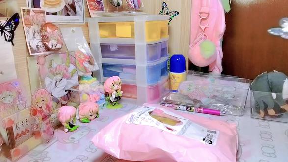 嗯对,大概就是今天拆一个蜜璃的绊之轨迹的玩偶
#甘露寺蜜璃 #鬼灭之刃绊之轨迹