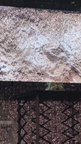 这个真的牛!#薛之谦 #仿生机器人 #AI #薛之谦万兽之王