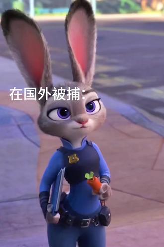 #抽象#配音#疯狂动物城 #熊出没@DOU+小助手