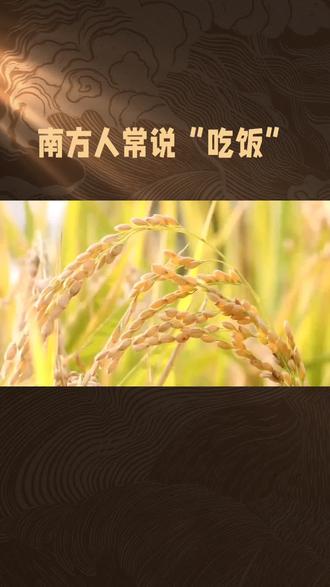 南方人和北方人“饭”的不同