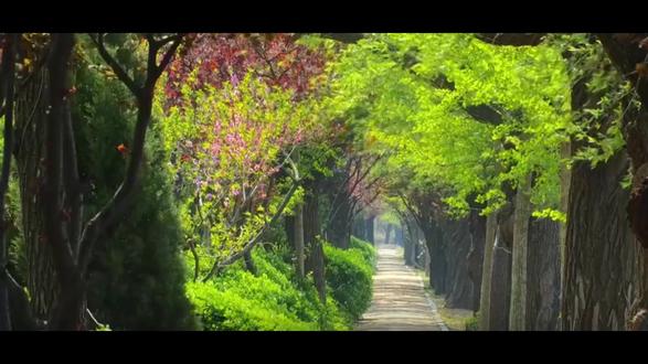 最近感冒了,鼻音有点重,可能有不清的地方,还请大家见谅#破云 #台风眼 #囚于永夜 #天官赐福 #全球高考