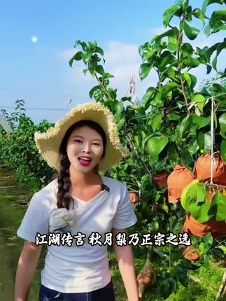 【中秋送礼】山东秋月梨8枚礼盒顺丰正宗梨子大果新鲜水果当季整箱#职场细节控 #讲话技巧 #分享与协作 #高效完成任务