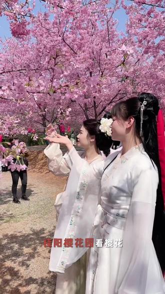 女神节就来桂阳樱花园赏花,漫山遍野的樱花全开了,粉粉白白连成一片花海, 仿佛置身童话世界,随手一拍都是大片,氛围感直接拉满#女神节去哪玩#桂阳樱花园#遛娃好去处#周末去哪儿#郴州周边游