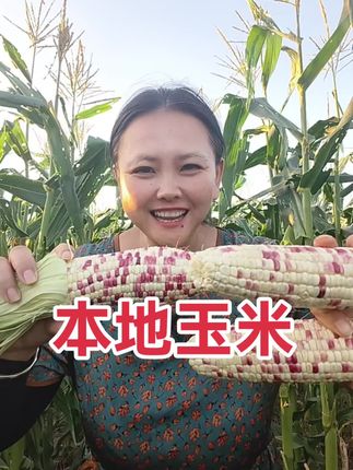 田野间,阳光洒落,捧一穗本地玉米,品味自然的香甜。🌽🌾 #本地玉米
