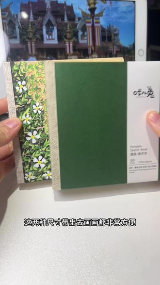 平价画本|封面可以自己画 米色和绿色大家更喜欢哪个颜色?#画本 #画本推荐 #儿童画本 #画画工具 #翻翻乐