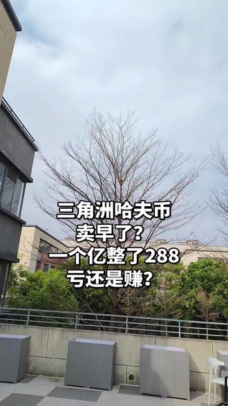 提问:亏还是赚,哪有高的?