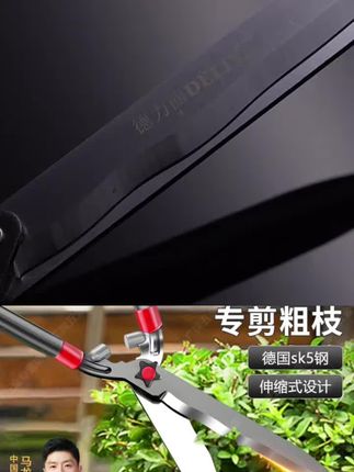 德国果树修剪刀剪树枝专用花卉修剪草坪园艺绿化大剪刀粗枝绿篱剪#园林 #园林景观 #园林绿化 #果树嫁接 #园林工具