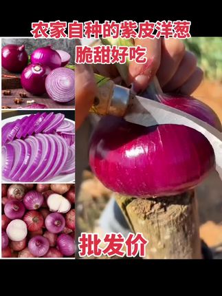 农家自种的紫皮洋葱#农家自种的紫皮洋葱 #紫皮洋葱