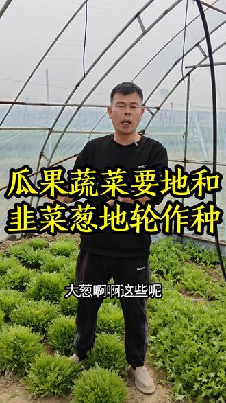 各种瓜果蔬菜种过的地要和各种韭菜葱地进行轮作,这样我们的瓜果蔬菜才长的好,少生病虫害!#种菜 #种菜小技巧 #三农#我的乡村生活 #抖音助农