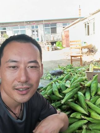 苞米涨价了啊,今天咱不涨,明天涨#玉米 #三农 #优质农产品 #抖音助农