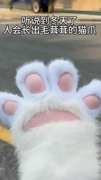可爱多色毛绒兽爪手套猫爪造型cosplay道具拍照配饰#也太可爱了吧 #手套 #好物推荐🔥 #毛茸茸 #少女心爆棚