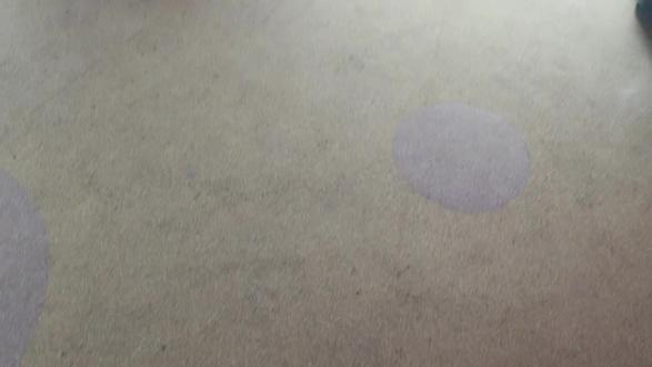 男生女生向前冲完整版