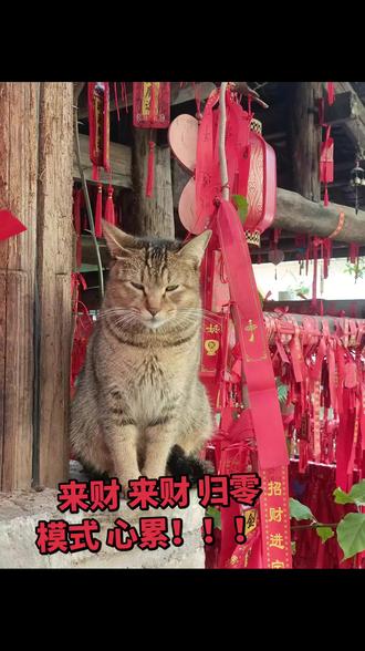 #招财猫#夺命流水线 #骆驼祥子思维导图 #牛马市场 #存款多少算有钱人 一起想一起做白日梦 一夜暴富 迎娶白富美呀😂😂! 快餐式婚姻 婚姻以后我们面临的是 我们vs问题 而不是你vs我 而忽略问题本身 现在离婚率越来越高 到底是遇到啥难度问题了 牛马像骆驼祥子一样干 依旧跟不上时代 归零模式突然像🉐了懒癌 对啥都难以提起兴趣了 我想消失一段时间先。。。
