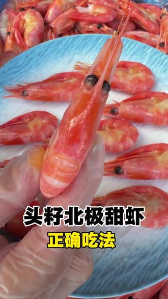 头籽北甜虾正确吃法 #北极甜虾 #北极甜虾正确吃法 #头籽北极甜虾 #国王北极甜虾 #北极虾