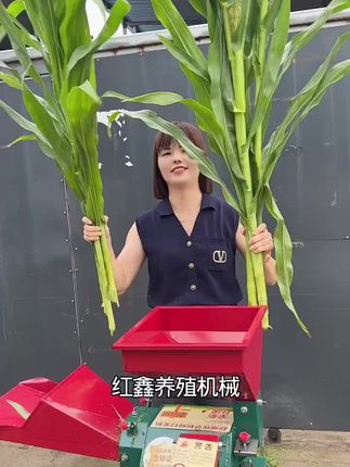 #牧草打浆机 #养殖
