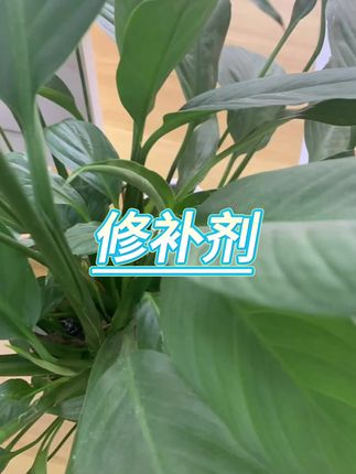 #修补剂 #瓷砖修补剂 #修复膏