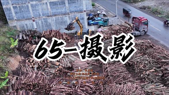 今天来到岩滩 祝老板生意兴隆财源滚滚来 2026必须来财@最帅收木仔 #65摄影 #挖机出租 #收购木材