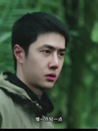 第一次看到竹叶青蛇#探索新镜 #探索新镜王一博