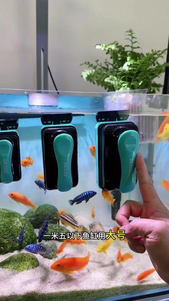 鱼缸壁上顽固污垢,就用这款贝森磁力刷轻松解决,打造空气缸#磁力刷 #贝森磁力刷 #空气缸 #养鱼日记