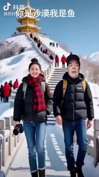 再好听的一首歌你是沙漠我是鱼