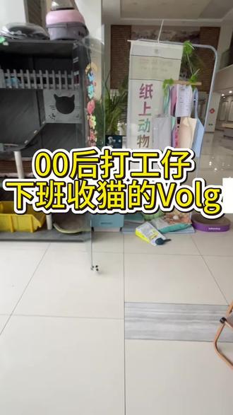 欢迎大家收看打工人照顾小猫的vlog #打工赚钱养小猫 #打工人兼职铲屎官 #铲屎官工作 #宠物喂养新体验 #养猫人的工作