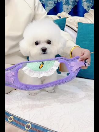 大语文时代,语文考试知识面非常灵活,一定要帮孩子多积累这些百科常识 #育儿 #家庭教育 #百科知识 #文学常识