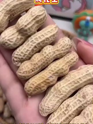 #花生 #烤花生 #花生推荐