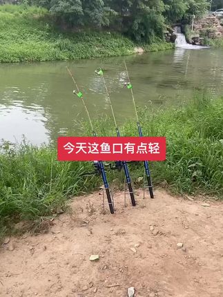 #户外钓鱼 #筏竿