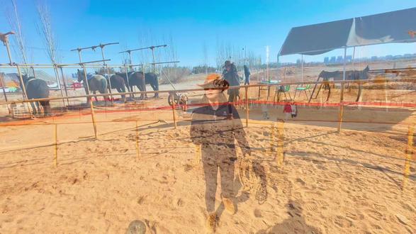 女驯马师@上帝禁区 第四集,#上热门 #驯马教学 #驯马 #驯马高手 #女驯马师