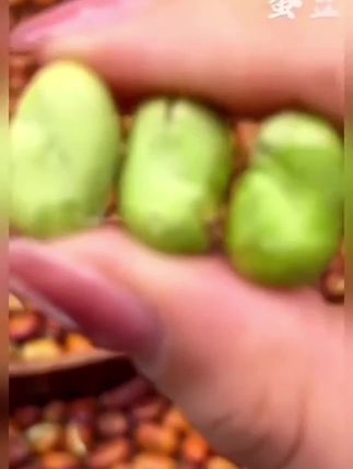 #绿心蚕豆 #上热门🔥 #好物推荐🔥 #流量扶持 #上热门🔥 @DOU+小助手 @巨量千川