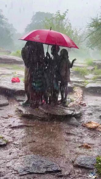 一群孩子一把伞~小小的身影,挤在一起就是满满的温暖🌧️❤️#下雨天 #一起长大一起玩耍 #可爱到爆炸💥 #哈扎比部落 #户外