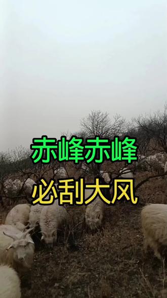 赤峰绒山沟,赤峰必刮大风#农村生活 #放羊妹 #春天的味道 #春天