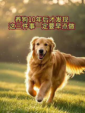 #养狗10年后才发现#这三件事一定要早点做 #科普健康知识 #养狗人