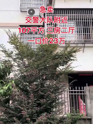 #vlog我的日常生活 急卖 交警大队附近,107平方,三房二厅,一口价23万#好房推荐