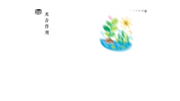 今天我们要分享的是光合作用#光合作用 #生物知识 #光能 #光合 #科普