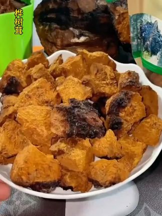 天然菌类桦树茸 桦树茸也叫桦褐孔菌,它和灵芝一样是多孔菌类,大自然的馈赠#桦树茸#舌尖上的美食 #太好吃了 #太香了#快来一起尝个鲜