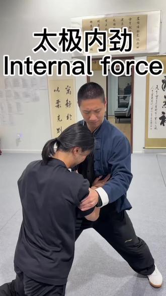 太极拳丹田鼓荡之内劲转化。太极拳者除外强筋骨皮养精气神外,内劲必须要有。这种经过阴阳二气转化后的能量将会源源不断的在你的体内增强和时刻转换。不仅仅只是通五脏六腑和具体的一个肢体区域而是能通到你全身的每一个毛孔以及甚至你看不到和觉察到的地方,对于新手和年限不长的练习者来说正架和动作规范是第一步,想一步登天是痴人说梦,但并不是遥不可及,只要坚持不懈,定有所成!#张豪太极
