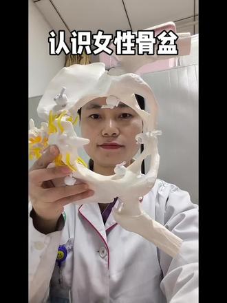 认识女性骨盆#分娩 #骨盆 #助产 #护士