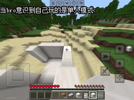 当bro意识到自己是单人模式时be like#我的世界