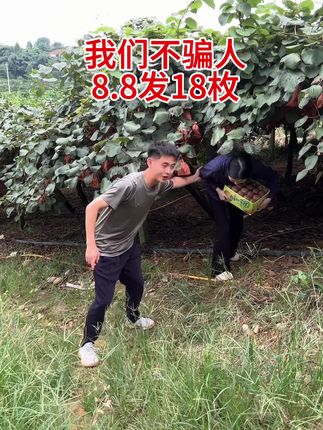 #绿心猕猴桃