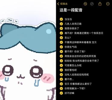 和 @哎我去 一起 #合拍 #辣条音 #配音挑战 #恶女 #教程来了 这很好了