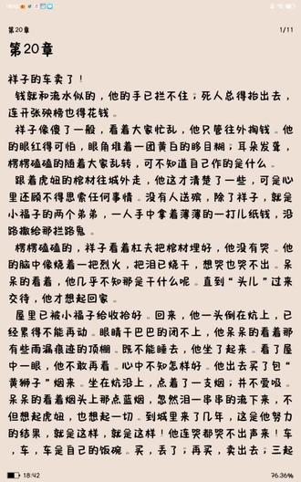 《骆驼祥子》第20章