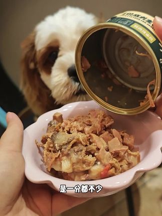 果然换个思路买爵宴主食罐,就是能省钱 #爵宴主食罐 #狗罐头 #治愈系狗狗 #萌宠好物