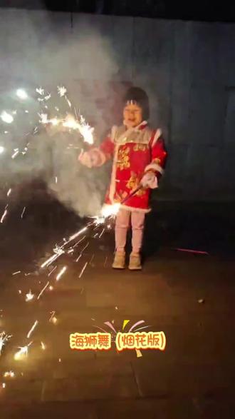 #舞蹈 #海狮舞 #新年舞蹈简单又喜庆 #用抖音记录人生 #烟花最浪漫的一瞬间 没想到海狮舞和烟花结合也能跳的这么好看😍😍😍。@DOU+上热门 @抖音小助手 @DOU+小助手