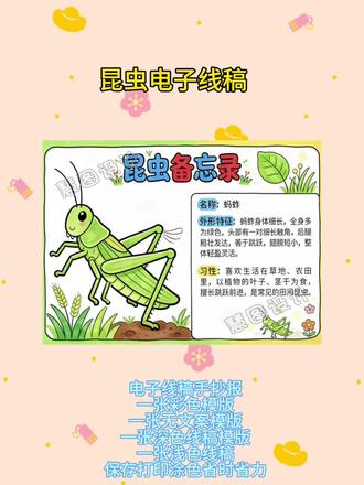 蚂蚱昆虫备忘录生物生长知识记录自然笔记绘画家庭设计手抄报 #蚂蚱昆虫备忘录 #生物生长知识记录 #自然笔记绘画 家庭设计手抄报h020#昆虫手抄报