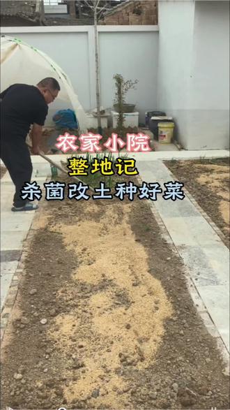 如何给地杀菌消毒?小 院香菜全部拔完,清理根须,翻土整平晾晒。
撒生石灰杀菌杀虫卵,
再用枯草芽孢杆菌+哈茨木霉菌,抑制土传病害,改良土壤。
最后倒入稻谷壳与土拌匀,让土质疏松透气、不板结。
养好了地,下一茬就种西红柿、辣椒,坐等丰收!#种菜我是认真的 #创作者中心 #创作灵感 #养地 #生石灰消毒