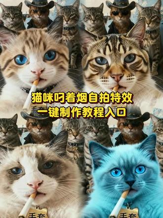 #即梦ai 猫咪叼香烟ai、猫咪叼烟图片素材、猫咪带牛仔帽叼香烟、小猫叼烟图片、一个猫叼一根烟的图片、猫咪抽烟、猫咪抽烟的ai指令、猫咪抽烟ai、猫咪抽烟ai怎么设置、猫咪抽烟ai指令玩法、猫咪抽烟ai指令生成图片、猫咪抽烟ai特效、猫咪抽烟ai指令特效、猫咪抽烟ai指令教程、猫咪抽烟的ai提示词、猫咪smoking表情包、猫咪抽烟表情包、猫咪叼香烟豆包指令、猫咪ai指令霸气、猫咪叼烟自拍、猫咪叼着烟自拍后面站几支猫ai、猫咪抽烟ai指令后面站几个小弟、猫咪抽烟ai视频、抽烟AI指令、猫咪抽烟爱心、猫咪抽烟反应、猫咪抽烟后续动态、猫咪叼香烟视频、猫和狗合照的图片ai指令、猫和狗ai合照、猫和狗合照的图片、猫和狗照片、猫和狗合体ai照片生成、猫和狗合照的头像、猫跟狗ai图片、猫和狗合影图片